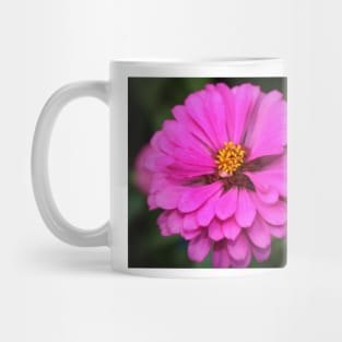 Summer Pink Zinnia Mug